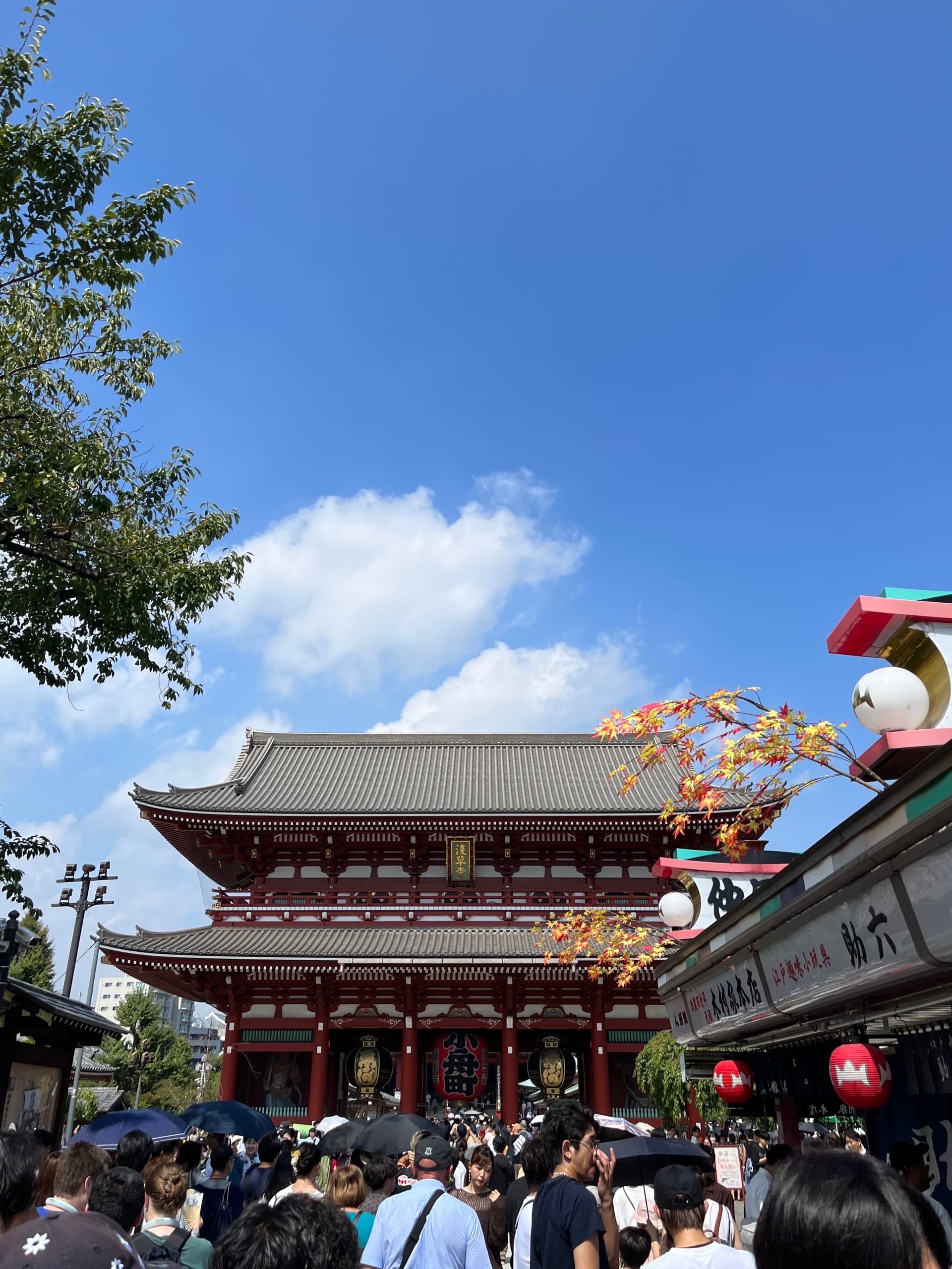 thumbnail 도쿄 여행 신나는 도쿄 여행기